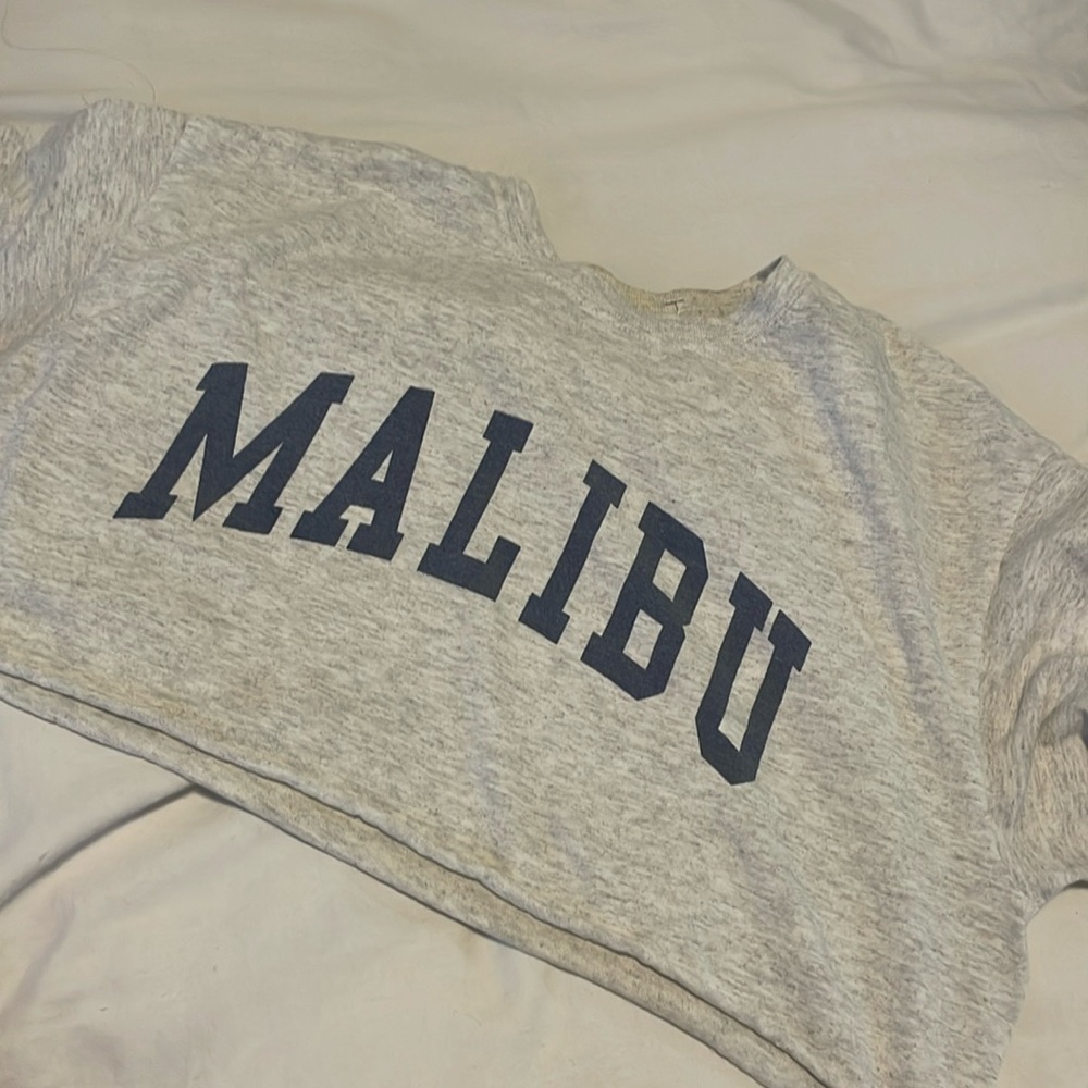 Brandy Melville Malibu crop top
